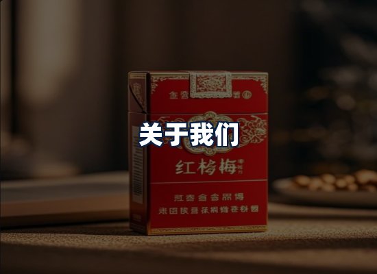 关于我们